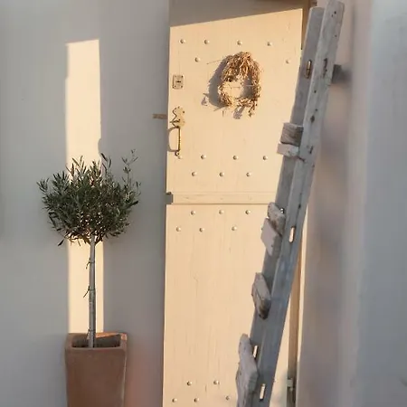 Art Exogonia Santorini Villa
